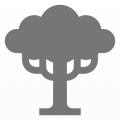 Family Tree Icon